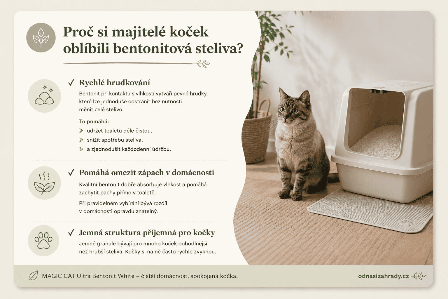 Proč jsou oblíbená bentonitová steliva pro kočky